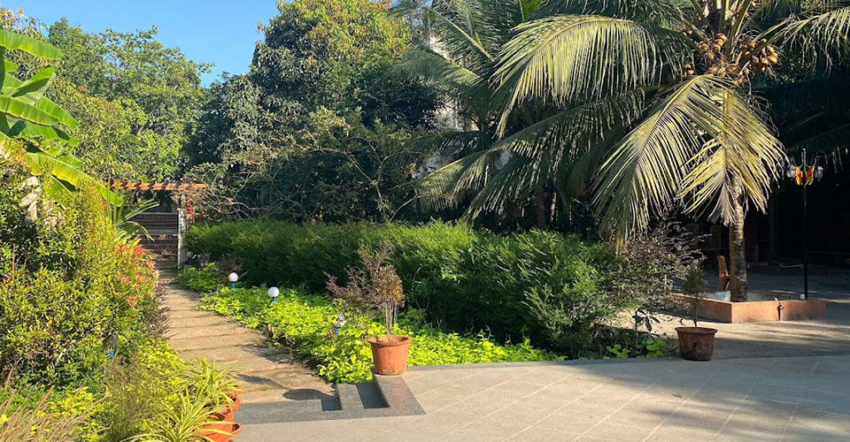 Open to Sky Fire Image